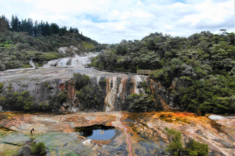 Da Auckland: Grotta di Waitomo e tour di gruppo di Orakei Korako