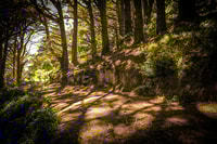 Wellington, Lord of the Rings Tour with Weta Workshop - Housity