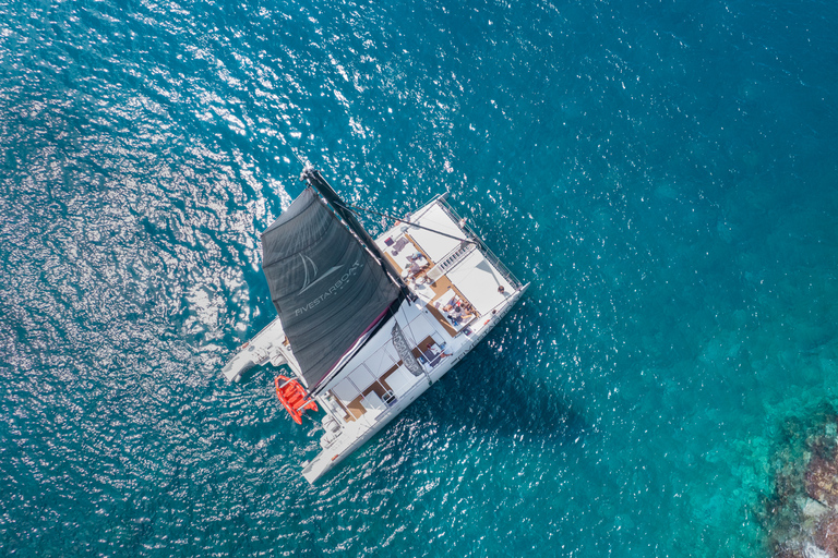 Tenerife : Croisière en catamaran avec brunch et boissons illimitées