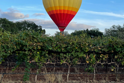 San Antonio: Fredericksburg Wineries Day Trip with Tastings Tour in English
