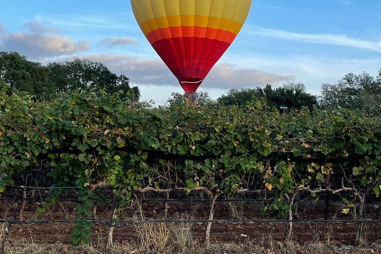 San Antonio: Fredericksburg Wineries Day Trip with Tastings Tour in English