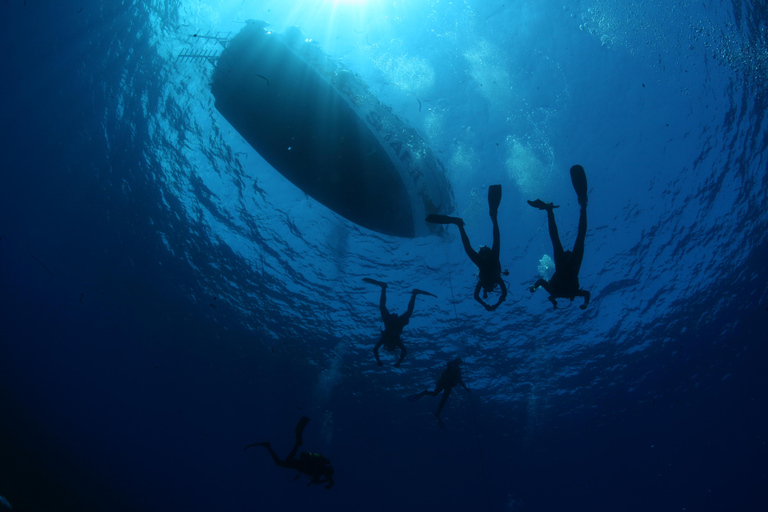 Malta: Guided Shore Dives in Malta for Certified Divers