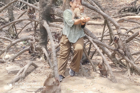 Visite d&#039;une jounée de la forêt de mangroves de Can Gio et de l&#039;île aux singes