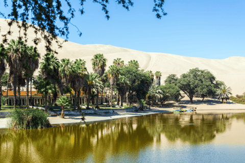 Lima : visite des îles Ballestas, des lignes de Nazca et de Huacachina