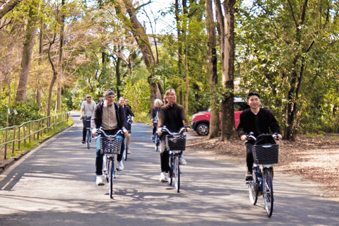 Kyoto: E-Bike Tour - Highlights, Backstreets & Local Secrets - Image 2