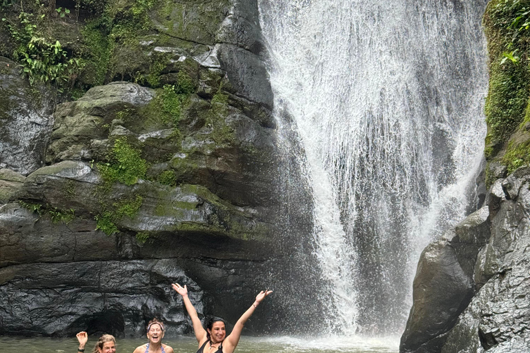 Cahuita National Park+Bribri Chocolate Tour+Waterfalls Tour+Lunch