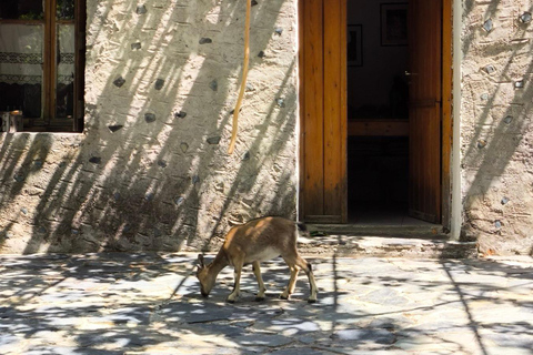Chania: Samaria Gorge Private Experience–Full Day Adventure