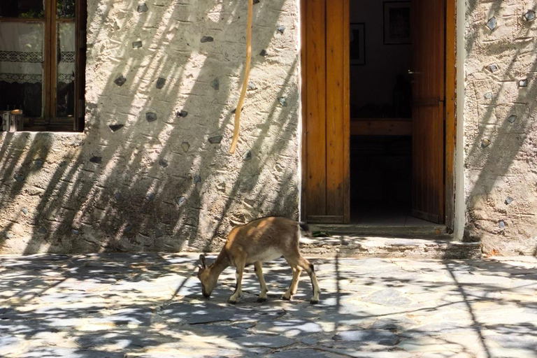 Chania: Samaria Gorge Private Experience–Full Day Adventure