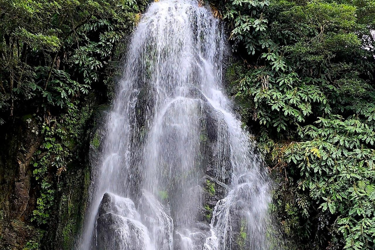Northeast: Tour of Unspoiled Nature and Ribeira dos Caldeirões Northeast: Tour of Untouched Nature and Ribeira dos Caldeirões