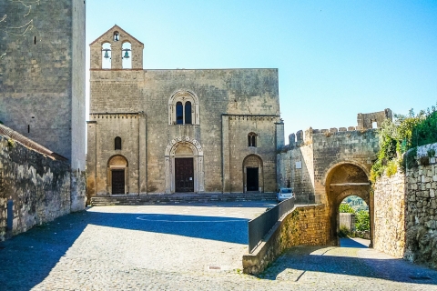 Ab Civitavecchia: Tarquinia, UNESCO-Stätte & MittagessenGruppentour