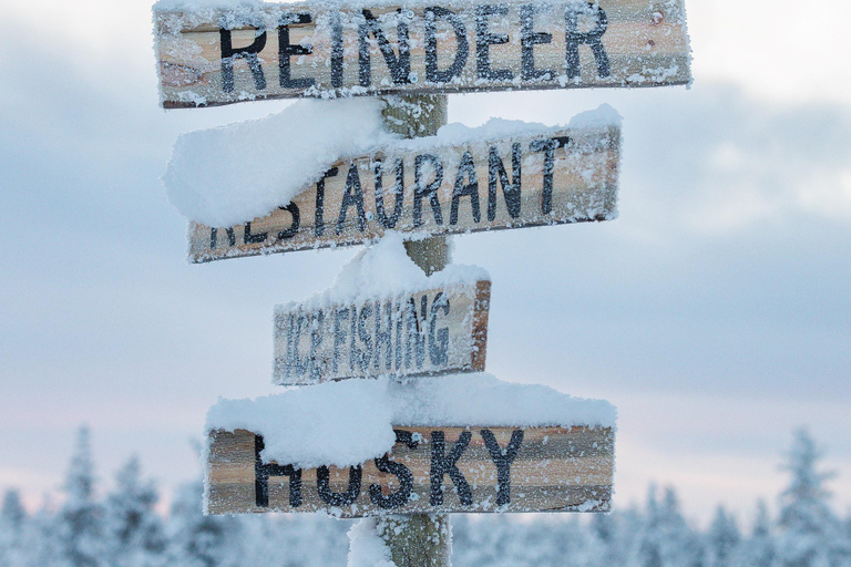 روفانيمي: رحلة على زلاجة الرنة عبر الغابة