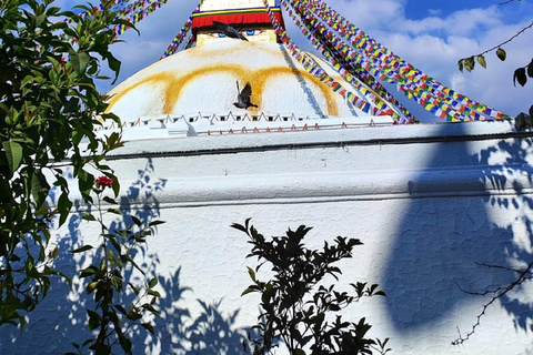 Hindu Temple (Pashupatinath) & Buddhist Stupa (Boudhanath) Group Language