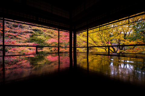 Tour privato personalizzato di Kyoto in auto con guida localeInglese