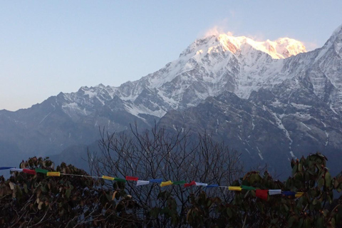 Pokhara: Mardi Himal Trek com acomodação