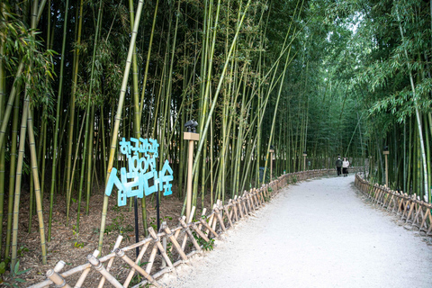 From Busan: 5 Highlights Pohang & Ulsan One Day City Tour Group tour: From Haeundae Station Ex.5