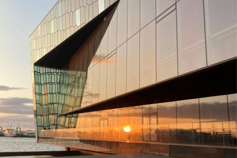 Reykjavik: City Highlights Guided Tour