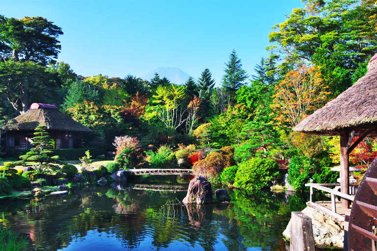 جبل فوجي وبحيرة كاواجوتشيكو روبواي وجولة أوشينو هاكاي ليوم واحدجولة جبل فوجي من محطة JR طوكيو المغا