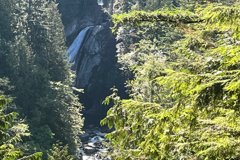Seattle: Snoqualmie Falls and Twin Falls Guided Tour