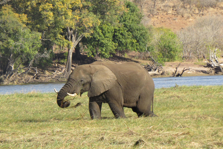 Victoria Falls & Chobe: 3-Day Safari with Cruise & Meals