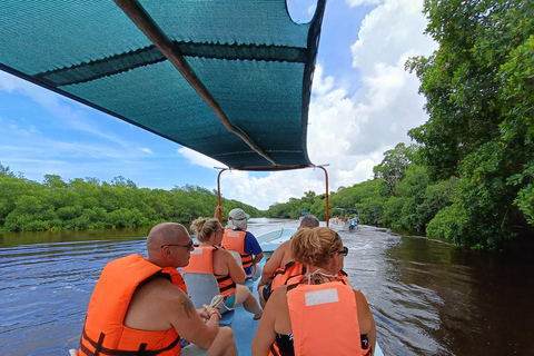 Yucatán: Bootstour durch das Biosphärenreservat Río Lagartos