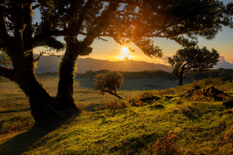 Fanal Assobiadores Trail Machico, Santa Cruz pickup hotels