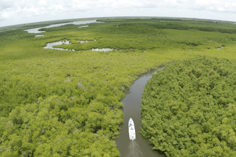 Sine Saloum: Shell Island and Bird Sanctuary