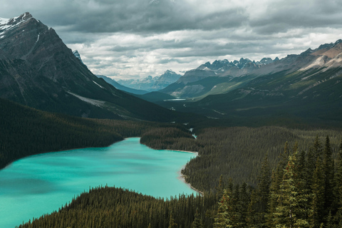 Columbia Icefield, Glacier Adventure & Skywalk Premium Tour