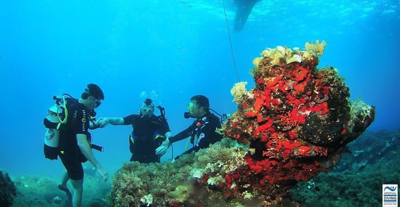 Three divers underwater beside a rock covered in red and yellow sponges, a boat hull above them