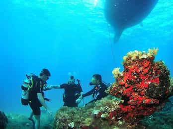 Try Scuba Diving and Snorkeling boat trip in Ibiza