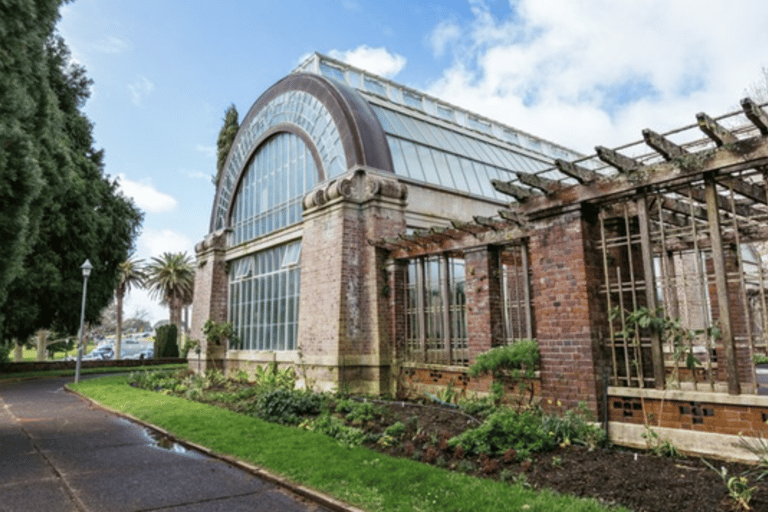 Auckland: City Highlights Tour with Takapuna Beach Cafe Stop