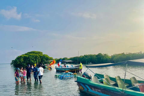 From Negombo: Boat Tour of Negombo Lagoon