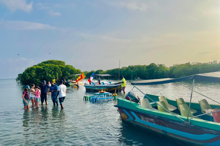 From Negombo: Boat Tour of Negombo Lagoon