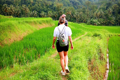 Kandy city tour and village tour in one day