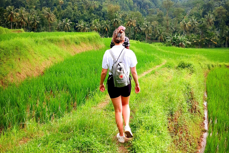 Kandy city tour and village tour in one day