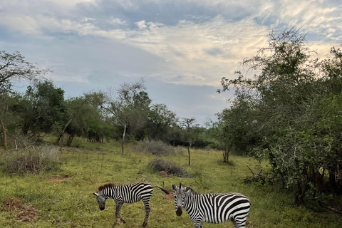 Uganda: Lake Mburo & Lake Bunyonyi 4-Day Safari Tour