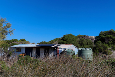 From Perth: Koala, Pinnacles Stargazing Day Tour