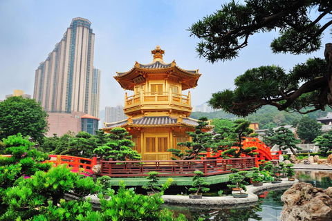 Hongkong: Privé auto of minibus met chauffeur6-uur privé met chauffeur