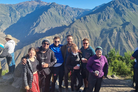 From Arequipa: Colca Canyon Day Trip with a stop in Puno From Arequipa: Day trip to Colca Canyon, ending in Puno