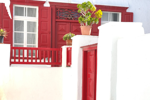 Mykonos Semi Private Bus Tour in English/Spanish