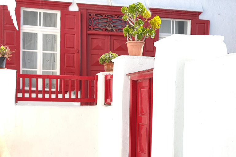 Mykonos Semi Private Bus Tour in English/Spanish