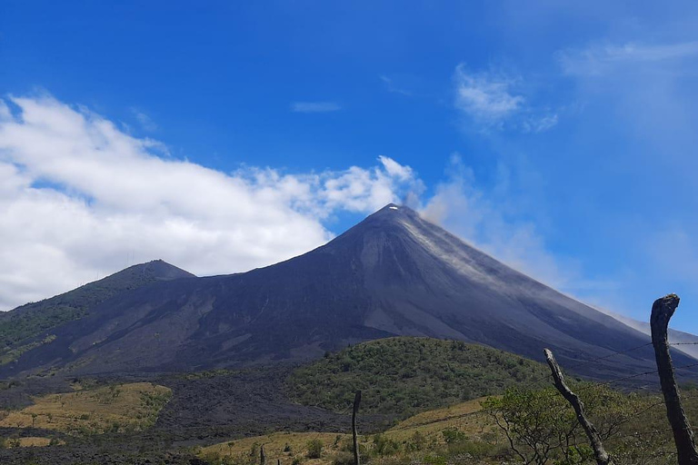 Tour to Pacaya Volcano with English and Spanish speaking tour guide.