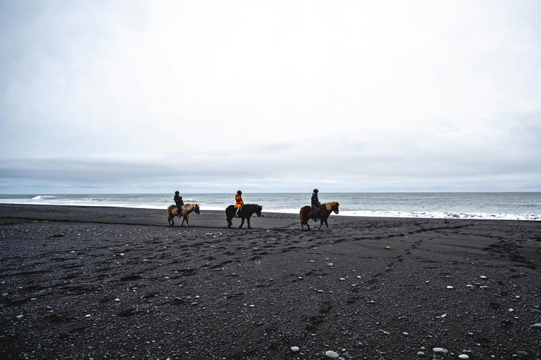 Homer: Guided Beach Horseback Ride with Wildlife Views