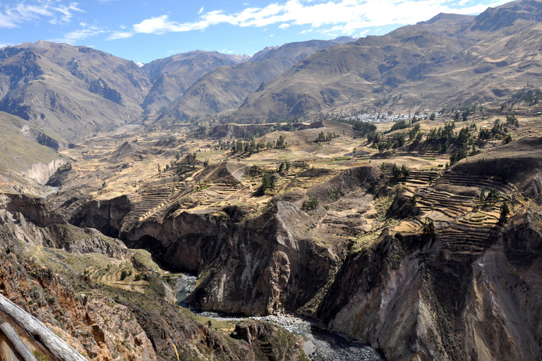Full-Day Colca Sightseeing Tour