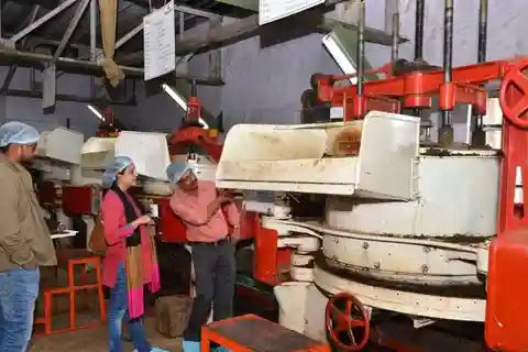 Da Munnar: Tour della fabbrica del tè, della piantagione e del parco nazionale