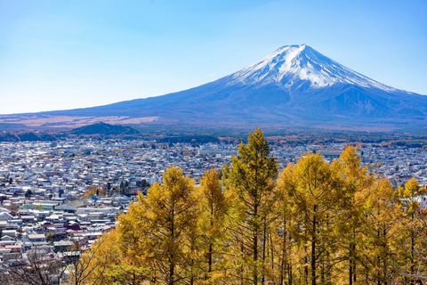 Tokyo: Mt Fuji&Chureito Pagoda&Lake Kawaguchi&Oshino Hakkai Free Karaage Chicken Set | 8AM Tokyo Station Departure