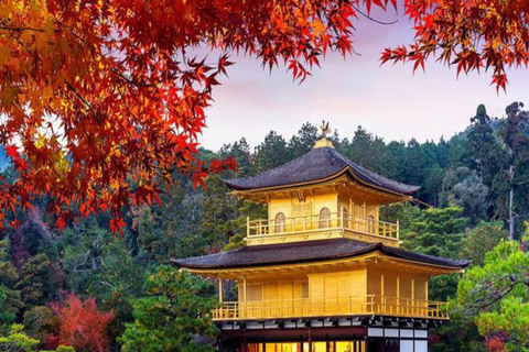 大阪/京都：京都和奈良私人定制一日旅行