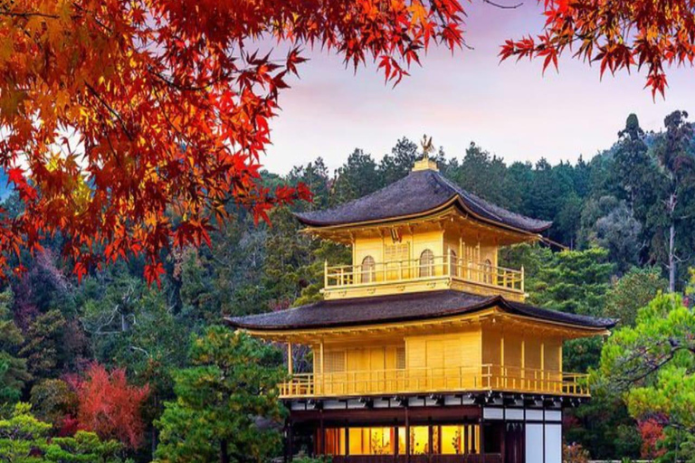 大阪/京都：京都和奈良私人定制一日旅行