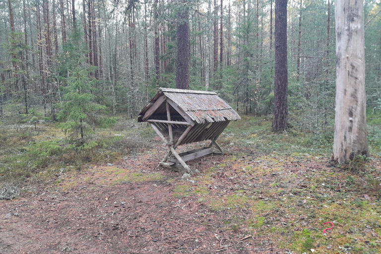 Autentyczna wycieczka jednodniowa Lahemaa Carmen reisid