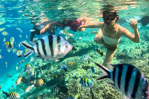 Gili Trawangan: Public Snorkeling Tour with Turtles and BBQ Public Snorkeling Tour with Turtles