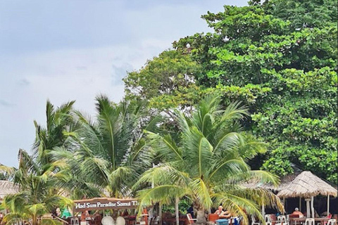 Ko Samui: Pig Island Snorkeling and Koh Tan Speedboat Tour